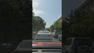 1 сентября 2024 г.