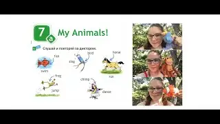 My Animals! I can jump! Видеословарь