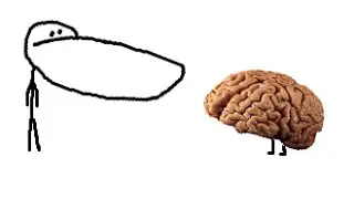 My Brain vs My Body
