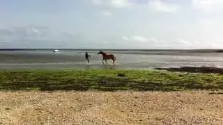 IMG 0068