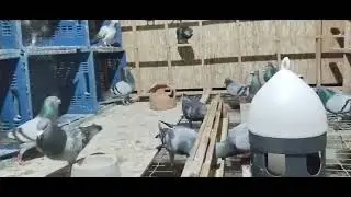 Finalizando a temporada 2024