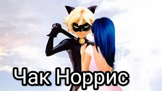 Чак Норрис. Леди Баг и Супер Кот.