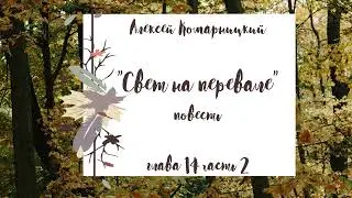 Алексей Комарницкий 