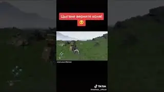 TIK TOK - MARMOK - ЦЫГАНЕ ВЫКРАЛИ КОНЯ
