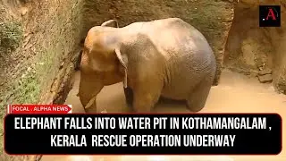 Elephant falls into water pit in Kothamangalam, Kerala |  rescue operation underway