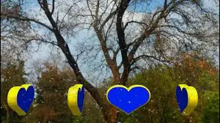 Green Screen Shadi background video HD    Green Screen Beautiful background Animated video