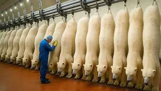 Inside a State-of-the-Art Factory | Large-Scale Polar Bear Skin Processing (CGI) |Behind the Build