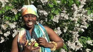 I´M Placebo I AM The Good Effect I´M The Solution Of Every Situation That´s Draining