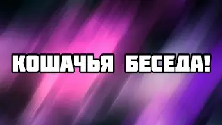 КОШАЧЬЯ БЕСЕДА!