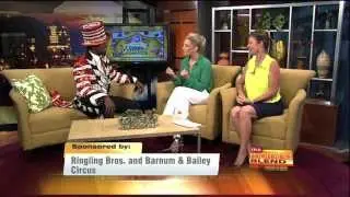 Amanda Guralski, TV Host Highlight Reel