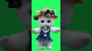 Motorcycle Cat Dance | Green Screen #greenscreen #short #shorts #shortsvideo