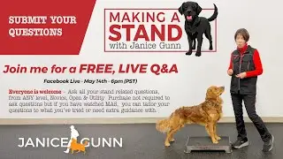 Making a Stand  - Free Live Q & A - Ask your Stand Questions (May 14 6pm (PST) on Facebook Live