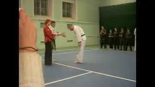 Показательные выступление  по таэквондо