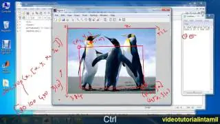 Matlab Image processing Tutorial in Tamil   Crop a Image