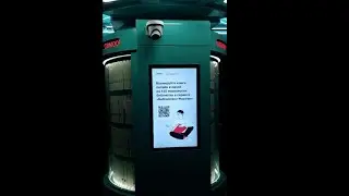 Стоит ли верить библиотеке в парке