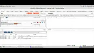 scan and audit and actively scan website with burpsuite pro
