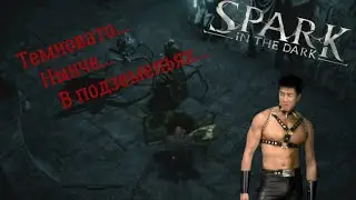 Темновато нынче в подземельях...(Spark in the Dark)