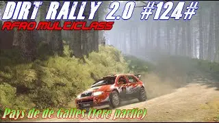 Dirt Rally 2.0 #124# RFRO Multiclass # Pays de Galles (1ere étape)