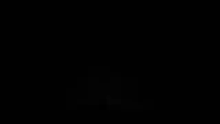 Hollow Knight