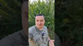 Новая ипотечная программа с 1 июля #недвижимость #квартира