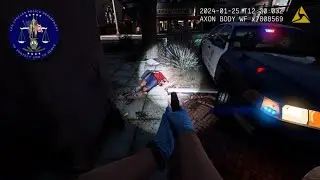[NO COMMENTARY] 4K GTA V LSPDFR - OFFICER DOWN, GANG SHOOTING & PERSON WITH A WEAPON!