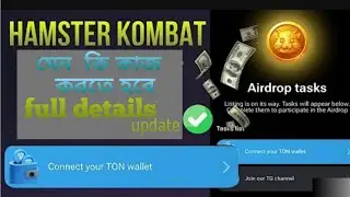 hamster kombat wallet connect bangla || full details hamster kombat || hamster kombat update |