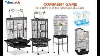 How to Choose Bird Cages