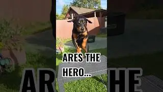 🦸‍♂️🧀 Ares the Hero