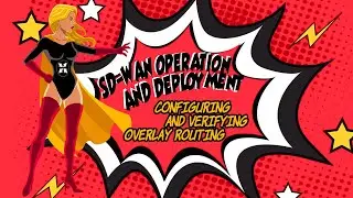 Module 4 - SD-WAN Overlay Routing / Lesson 4 - Configuring and Verifying Overlay Routing