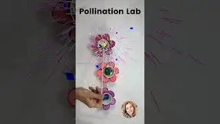 Pollination and Seed Dispersal Lab for Second Grade