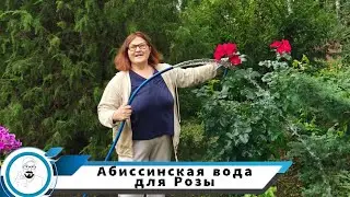 Вода для Розы // скважина в Домодедовском районе