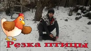 Как резать курицу // Принимаем Гостя