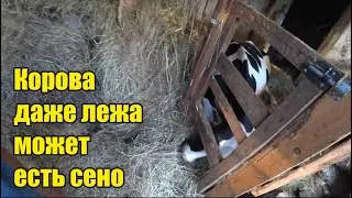 Опарыши и подкормка для рыбалки. Я устала, хочу в отпуск. Стряпаем пироги. Рецепт теста. Новый пол.