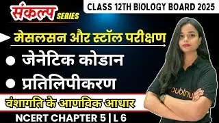 मेसल्सन और स्टॉल परीक्षण, जेनेटिक कोडान, प्रतिलिपिकरण Lec 6 | Class 12th Biology Chapter 5 in Hindi