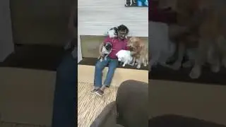 True love 💕....of Animals