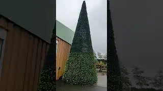CHRISTMAS TREE AT BRIDGEMERE GARDEN CENTRE 