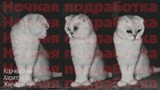 подкаст Ночная подработка #15 - в квартире с кошками