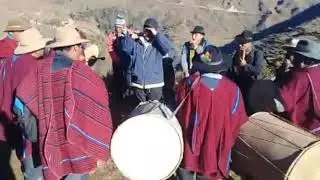 Ambana sicuris de prov Camacho La Paz Bolivia