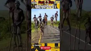 Fact + Fun | choose only one 