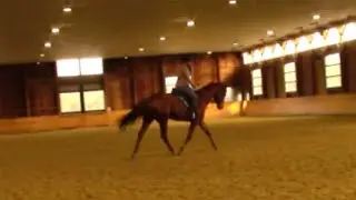 Mondeuse Dressage Clinic 01072024