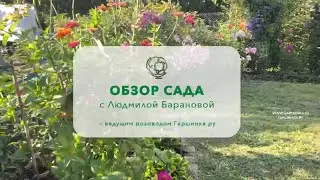 ОБЗОР САДА С ЛЮДМИЛОЙ БАРАНОВОЙ - ВЕДУЩИМ РОЗОВОДОМ ГАРШИНКА.РУ