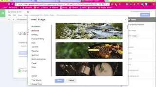 Google Form Themes