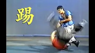 TI 踢 Kick Techniques