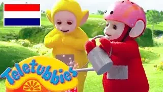 Teletubbies Nederlands:  1 Uur Lange Compilatie | kinder programmas | tekenfilms | animatie