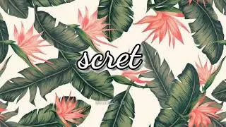 🎶Backsound aesthetic||free for youtube🌻