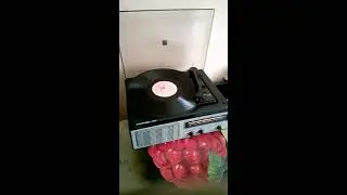 Серенада 306