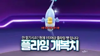 ㅋㅋㅋㅋㅋㅋㅋㅋㅋㅋㅋ 디자인 골때리는 1티어 플라잉 펫 나옴