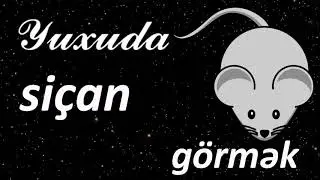 Yuxuda siçan görmək ☾✵ Qısa Yuxuyozma