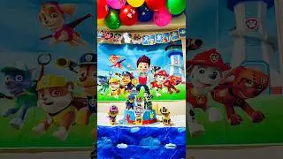 Paw Patrol enjoying new effect 😍 #shorts #pawpatrol #mightypups