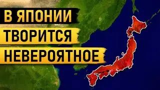 Почему рушится японская йена и как это влияет на вас